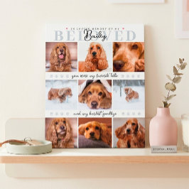 Placa Expositora Recuerdo conmemorativo personalizado de mascota, c