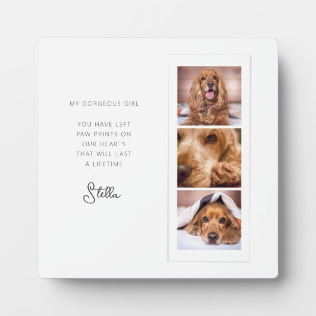 Placa Expositora Recuerdo de 3 fotos de memorial de mascota Cita de (Frente)
