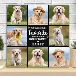 Placa Expositora Recuerdo de 8 fotos collage Perro mascota pérdida 