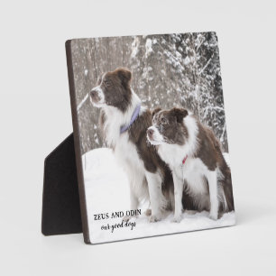 Placa Expositora Recuerdo de Foto de Mascota Perro