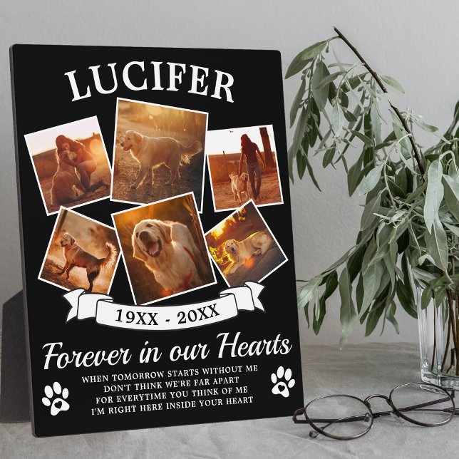 Placa Expositora Recuerdo de Mascota (Subido por el creador)