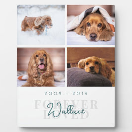 Placa Expositora Recuerdo de Mascota Amado por Siempre Elegante Col