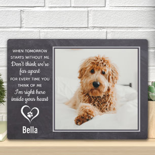 Placa Expositora Recuerdo de Mascota Memorial de Pérdida de Mascota