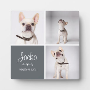 Placa Expositora Recuerdo de Mascota Memorial Perro Colage de Fotos