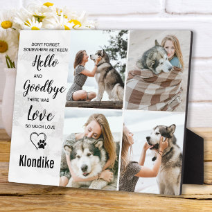 Placa Expositora Recuerdo de Mascota Memorial Perro Colaje de Fotos