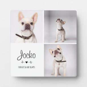 Placa Expositora Recuerdo de Mascota Memorial Perro Pérdida de Masc