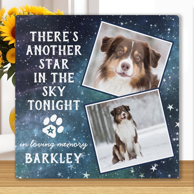 Placa Expositora Recuerdo de Mascota Pérdida de Mascota Foto de Per (Subido por el creador)