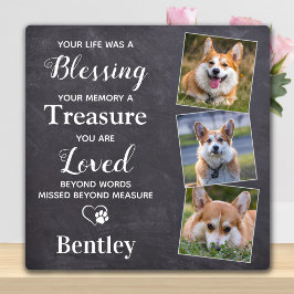 Placa Expositora Recuerdo de Mascota Perro Personalizado Foto Regal