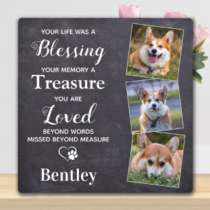 Placa Expositora Recuerdo de Mascota Perro Personalizado Foto Regal