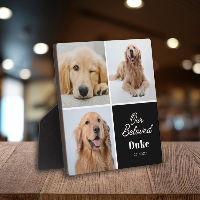 Placa Expositora Recuerdo de nuestra mascota nuestro querido perro  (Subido por el creador)