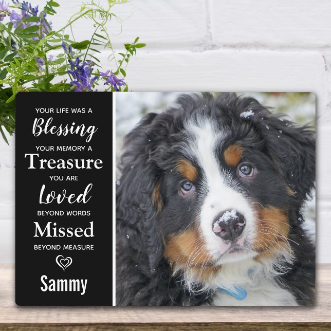 Placa Expositora Recuerdo en memoria de los perros mascotas, foto d (Subido por el creador)