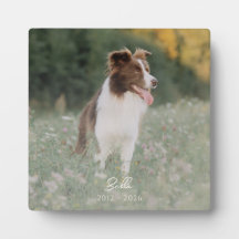 Recuerdo Fotográfico Minimalista Pérdida de Perro