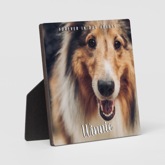 Placa Expositora Recuerdo Fotográfico Para Siempre En Nuestros Cora (Anverso)