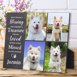 Placa Expositora Recuerdo Personalizado Memorial Perro Mascota 4 Fo