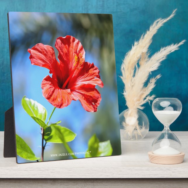 Placa Expositora Red Hibiscus (Lado)