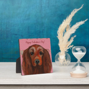 Placa Expositora Red Setter de Irlanda
