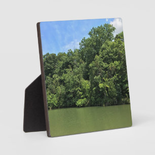 Placa Expositora Reed Creek, Wytheville, Virginia