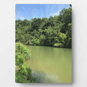 Placa Expositora Reed Creek, Wytheville, Virginia