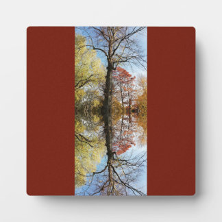 Placa Expositora Reflejado de foto de árbol