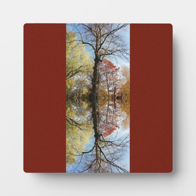 Placa Expositora Reflejado de foto de árbol (Frente)