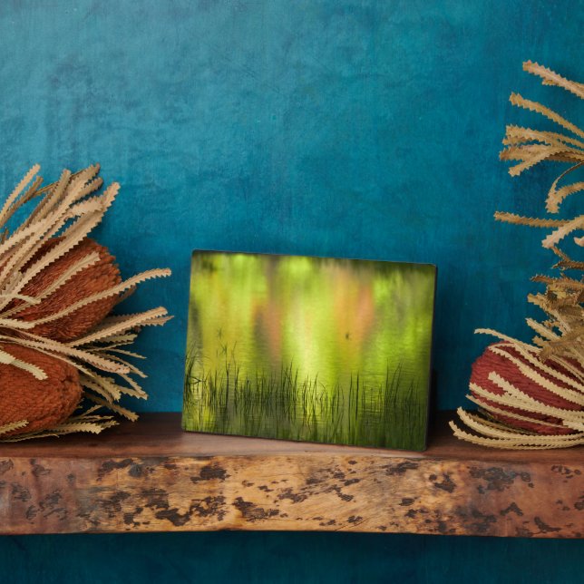 Placa Expositora Reflexiones en el lago espejo | Yosemite (Lado)