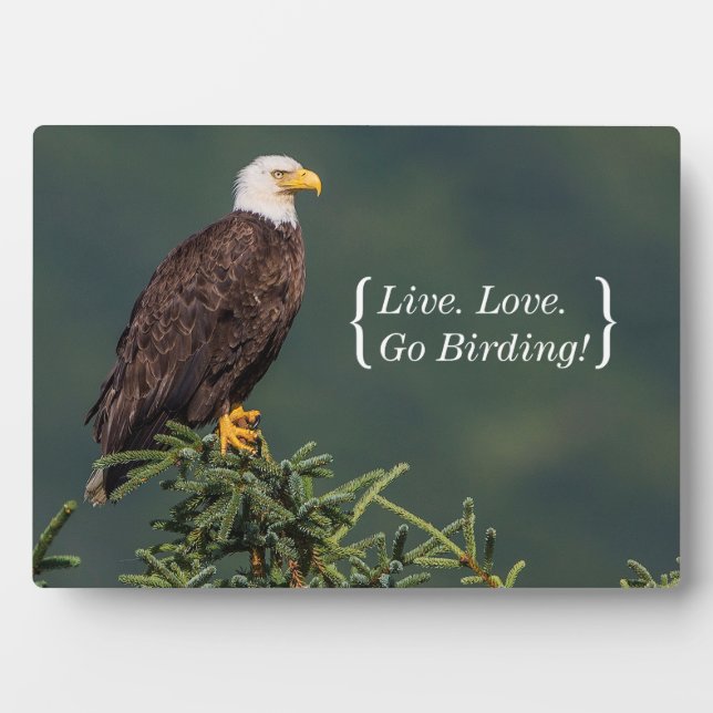 Placa Expositora Regal Bald Eagle (Frente)