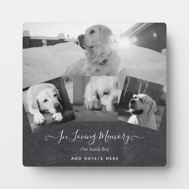 Placa Expositora Regalo conmemorativo de perro de la foto - Collage (Frente)