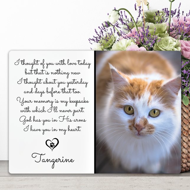 Placa Expositora Regalo conmemorativo del gato - Foto de simpatía p (Subido por el creador)