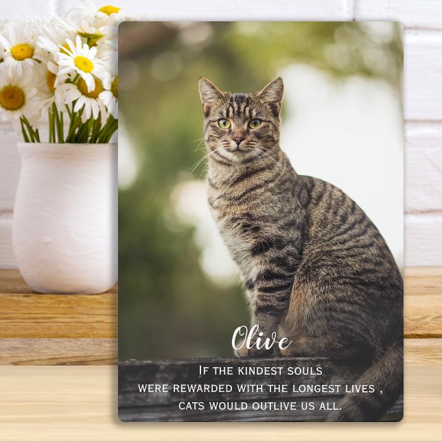 Placa Expositora Regalo conmemorativo del gato - Pérdida del Mascot (Subido por el creador)