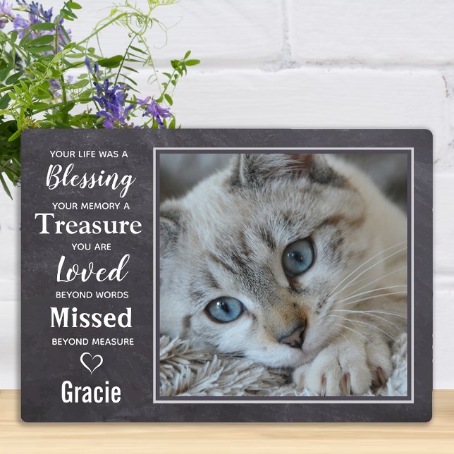Placa Expositora Regalo conmemorativo del gato - Regalo de simpatía (Subido por el creador)