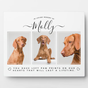 Placa Expositora Regalo conmemorativo del perro - Mascota Pérdida 3