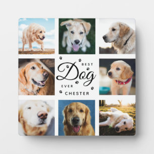 Placa Expositora Regalo conmemorativo del perro Mejor perro de todo