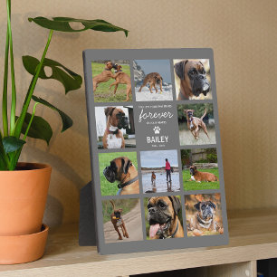 Placa Expositora Regalo conmemorativo para mascotas   Colage de fot
