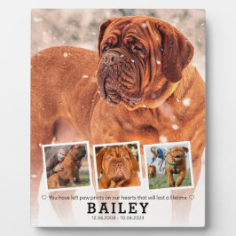 Placa Expositora Regalo conmemorativo para mascotas - Pérdida de pe