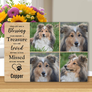 Placa Expositora Regalo conmemorativo para perro mascota - Recuerdo