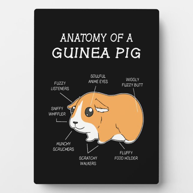 Placa Expositora Regalo de cerdo de Guinea | Anatomía De Un Cerdo D (Frente)