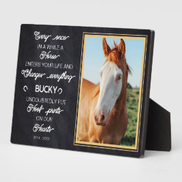 Placa Expositora Regalo de foto personalizada de memorial de caball
