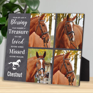 Placa Expositora Regalo Memorial de Caballo Pérdida de Caballo Simp