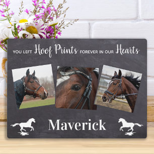 Placa Expositora Regalo por Pérdida de Caballo Memorial de Caballo
