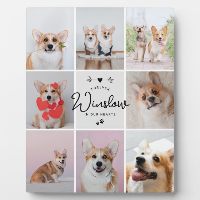 Placa Expositora Regalo por Pérdida de Mascota Memorial de Perro co (Frente)