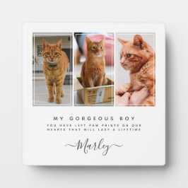Placa Expositora Regalo por pérdida de mascota para perro y gato, m