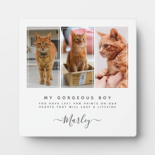 Placa Expositora Regalo por pérdida de mascota para perro y gato, m