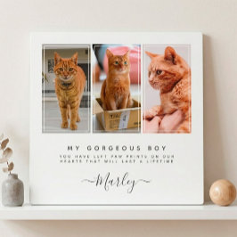 Placa Expositora Regalo por Pérdida de Mascota para Perro y Gato, M