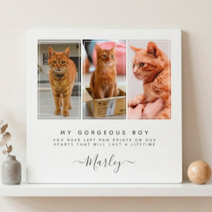 Placa Expositora Regalo por Pérdida de Mascota para Perro y Gato, M