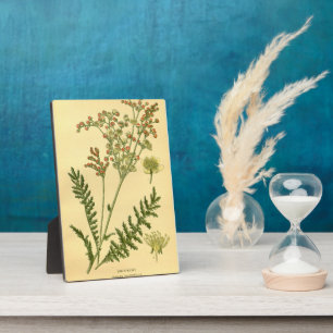 Placa Expositora Reloj de pared de oruga de marea dorada con sabor 