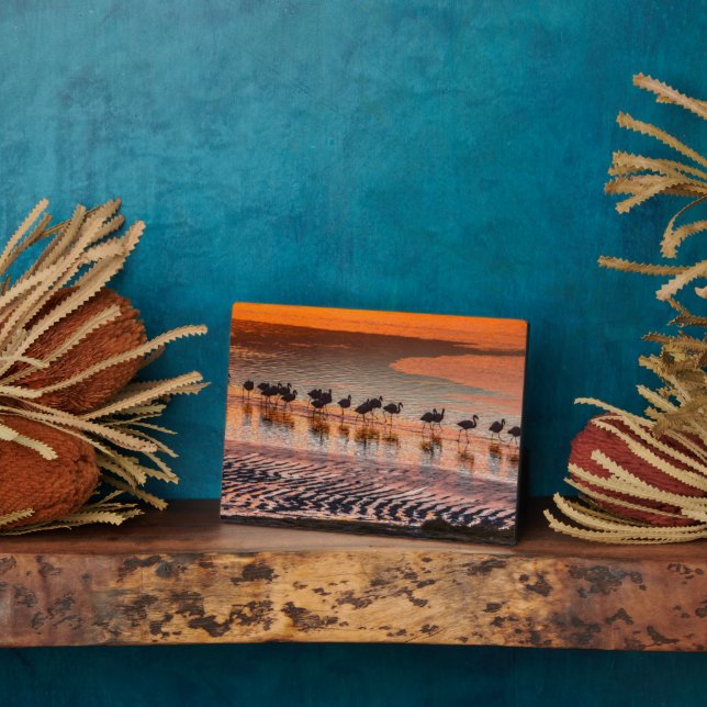 Placa Expositora Reserva Nacional de la Fauna Andina Eduardo Abaroa (Lado)