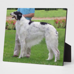 Placa Expositora retrato de Borzoi