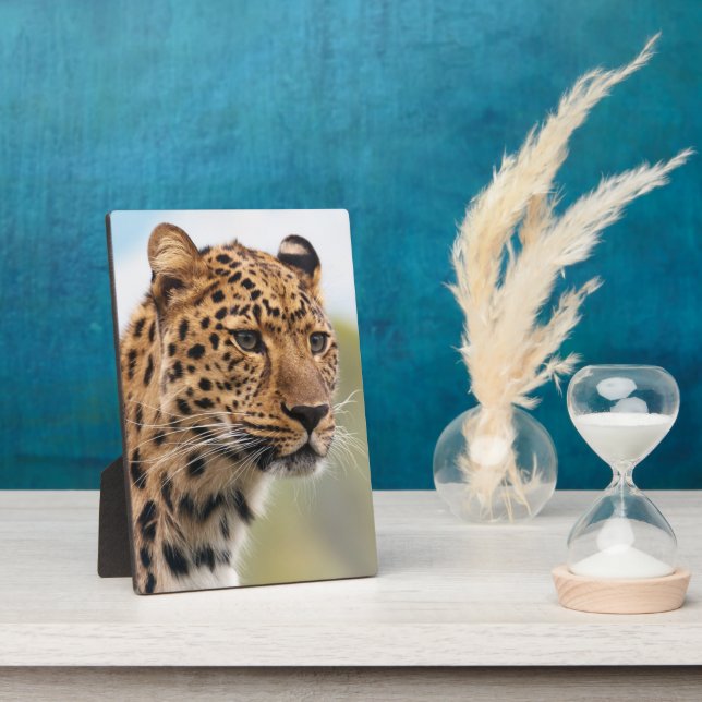 Placa Expositora Retrato de cara de leopardo visto (Lado)