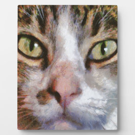 Placa Expositora Retrato De Cierre De Gato De Tabby De Larga Duraci