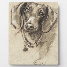 Retrato de Dachshund